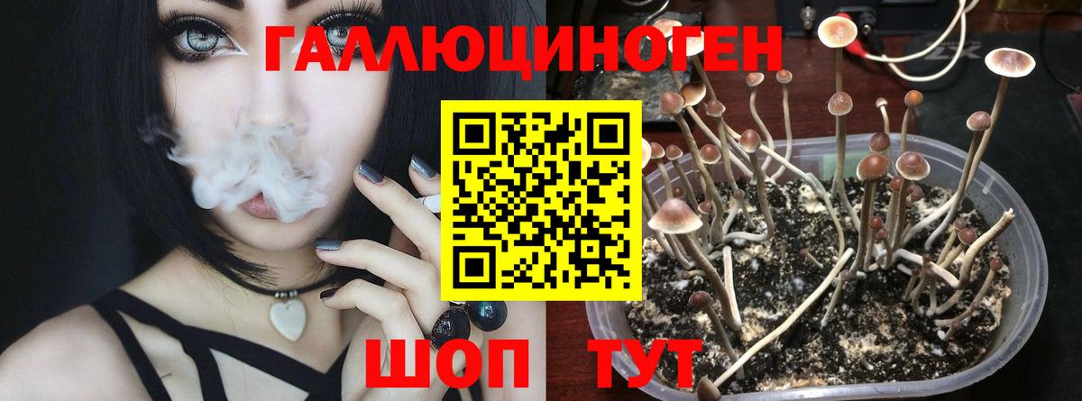 Псилоцибиновые грибы Magic Shrooms Лениногорск