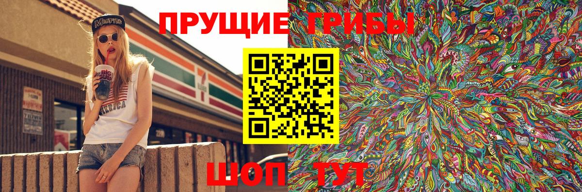 Псилоцибиновые грибы Psilocybine cubensis  Вход с VPN  Лениногорск 